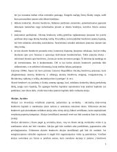 Akcinės bendrovės veiklos principai 3 puslapis