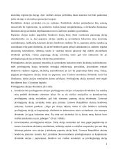 Akcinės bendrovės veiklos principai 4 puslapis