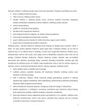 Akcinės bendrovės veiklos principai 7 puslapis