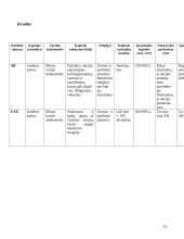 Akcinės bendrovės veiklos principai 10 puslapis