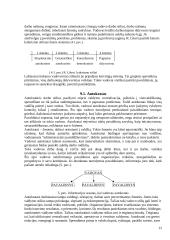 Akcinių bendrovių valdymas 12 puslapis