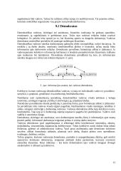 Akcinių bendrovių valdymas 13 puslapis