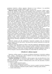 Akcinių bendrovių valdymas 4 puslapis