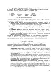 Akcinių bendrovių valdymas 10 puslapis