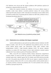 Cinko jonų įtakos įvertinimas ląstelės antioksidaciniam būviui ir lipidų peroksidacijai, nikeliu paveiktų pelių kepenyse 12 puslapis