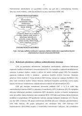 Cinko jonų įtakos įvertinimas ląstelės antioksidaciniam būviui ir lipidų peroksidacijai, nikeliu paveiktų pelių kepenyse 15 puslapis