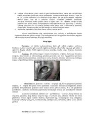 Akių apsauga 2 puslapis