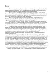 Akmens vata Paroc 2 puslapis