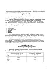 Akmens vata Paroc 9 puslapis