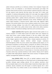 Aleksoto ekologinė būklė 11 puslapis