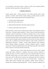 Aleksoto ekologinė būklė 14 puslapis