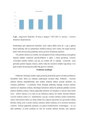 Socialinė idėja „senjorų įtraukimas į darbą“ 4 puslapis