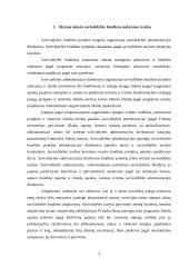 Alytaus savivaldybės biudžeto analizė 3 puslapis