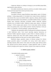 Alytaus savivaldybės biudžeto analizė 4 puslapis