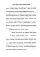 Alytaus savivaldybės biudžeto analizė 10 puslapis