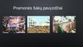 Pramoninė gamyba. Geografijos skaidrės 14 puslapis