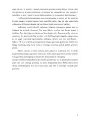 Amžinos ir laikinos vertybės. Jų sąveika 6 puslapis