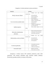 Analitinis tinklo  procesas. Prisiartinimas prie pasirinktos vietos: parduotuvių rajono pavyzdys 11 puslapis