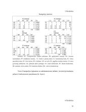 Analitinis tinklo  procesas. Prisiartinimas prie pasirinktos vietos: parduotuvių rajono pavyzdys 15 puslapis