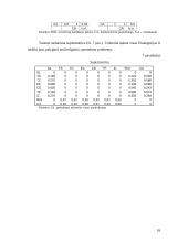 Analitinis tinklo  procesas. Prisiartinimas prie pasirinktos vietos: parduotuvių rajono pavyzdys 17 puslapis