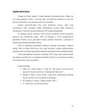 Analitinis tinklo  procesas. Prisiartinimas prie pasirinktos vietos: parduotuvių rajono pavyzdys 18 puslapis