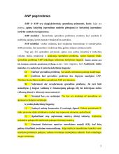 Analitinis tinklo  procesas. Prisiartinimas prie pasirinktos vietos: parduotuvių rajono pavyzdys 4 puslapis