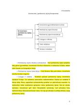 Analitinis tinklo  procesas. Prisiartinimas prie pasirinktos vietos: parduotuvių rajono pavyzdys 7 puslapis