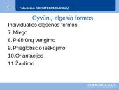 Etologija (skaidrės) 16 puslapis