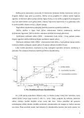 Analoginiai ir diskretiniai signalai 3 puslapis