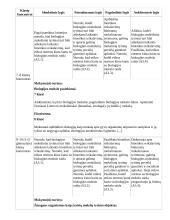 Atnaujintas ilgalaikis biologijos planas (2023 m.) 17 puslapis