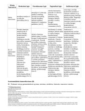 Atnaujintas ilgalaikis chemijos planas (2023 m.) 11 puslapis