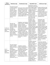 Atnaujintas ilgalaikis chemijos planas (2023 m.) 8 puslapis