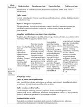 Atnaujintas ilgalaikis dailės planas (2023 m.) 11 puslapis