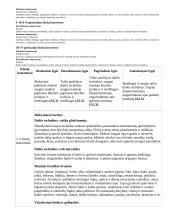 Atnaujintas ilgalaikis dailės planas (2023 m.) 13 puslapis