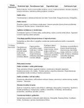 Atnaujintas ilgalaikis dailės planas (2023 m.) 16 puslapis