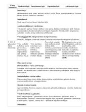 Atnaujintas ilgalaikis dailės planas (2023 m.) 17 puslapis