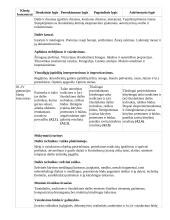 Atnaujintas ilgalaikis dailės planas (2023 m.) 18 puslapis