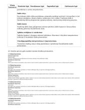 Atnaujintas ilgalaikis dailės planas (2023 m.) 19 puslapis