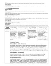 Atnaujintas ilgalaikis dailės planas (2023 m.) 20 puslapis