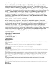 Atnaujintas ilgalaikis dailės planas (2023 m.) 4 puslapis