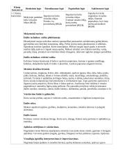 Atnaujintas ilgalaikis dailės planas (2023 m.) 6 puslapis