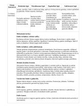 Atnaujintas ilgalaikis dailės planas (2023 m.) 7 puslapis