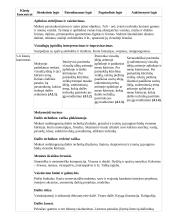 Atnaujintas ilgalaikis dailės planas (2023 m.) 8 puslapis