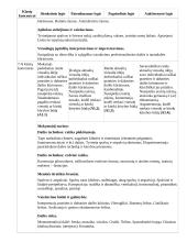 Atnaujintas ilgalaikis dailės planas (2023 m.) 9 puslapis