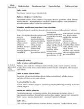 Atnaujintas ilgalaikis dailės planas (2023 m.) 10 puslapis