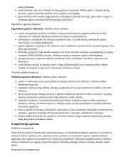 Atnaujintas ilgalaikis etikos planas (2023 m.) 2 puslapis