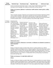 Atnaujintas ilgalaikis etikos planas (2023 m.) 15 puslapis