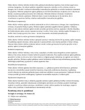 Atnaujintas ilgalaikis etikos planas (2023 m.) 3 puslapis