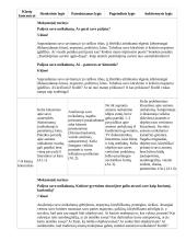 Atnaujintas ilgalaikis etikos planas (2023 m.) 8 puslapis