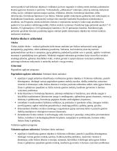 Atnaujintas ilgalaikis fizikos planas (2023 m.) 2 puslapis